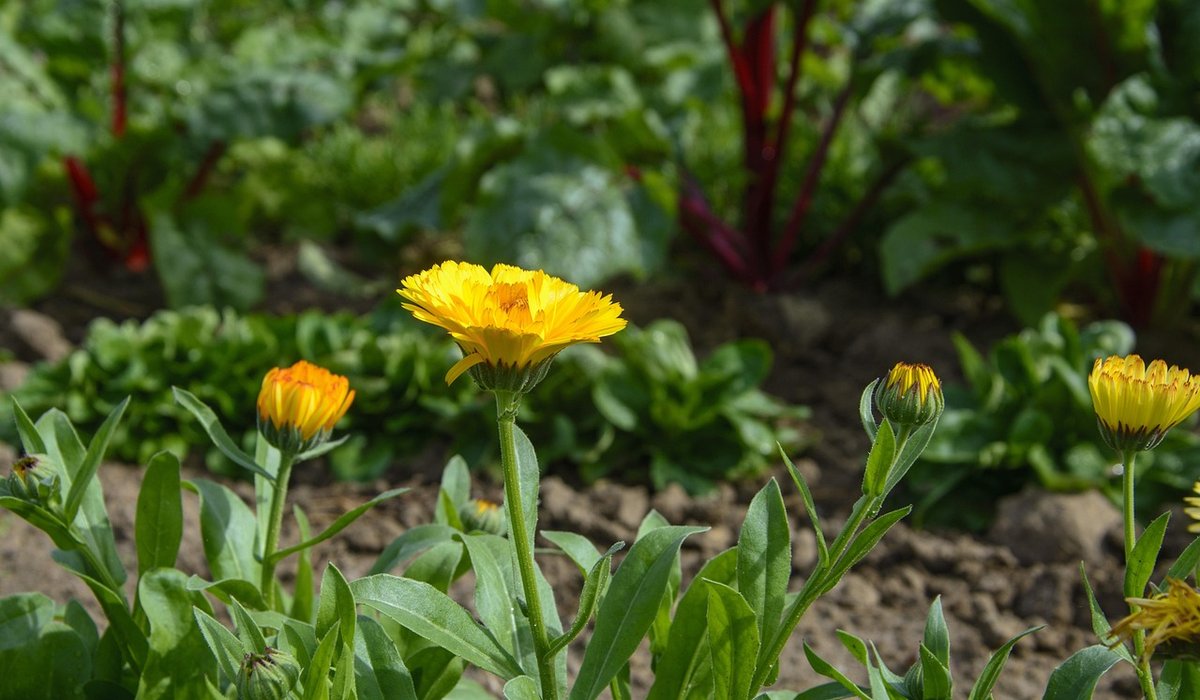 blog single post